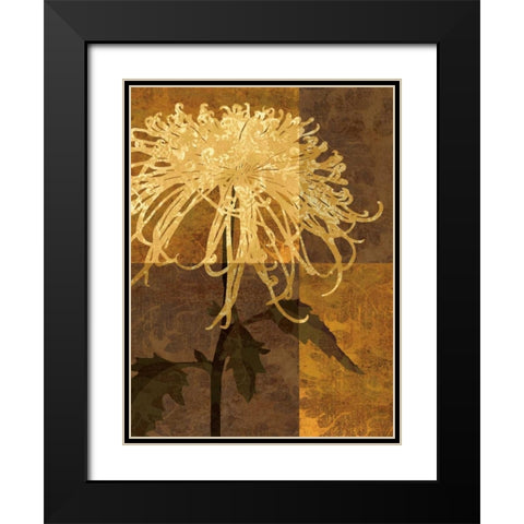 Golden Mums I Black Modern Wood Framed Art Print with Double Matting by Mallett, Keith