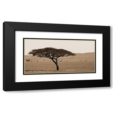 Serengeti Horizons I Black Modern Wood Framed Art Print with Double Matting by Maihara/Watt, Jeff/Boyce