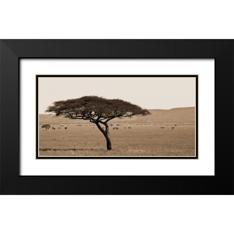 Serengeti Horizons I Black Modern Wood Framed Art Print with Double Matting by Maihara/Watt, Jeff/Boyce