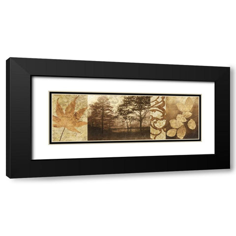 Equinox II Black Modern Wood Framed Art Print with Double Matting by Mallett, Keith