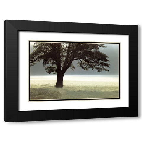 Enlighten Me Black Modern Wood Framed Art Print with Double Matting by Frank, Assaf