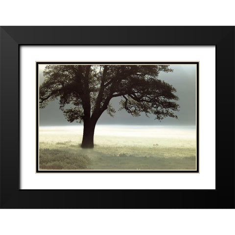 Enlighten Me Black Modern Wood Framed Art Print with Double Matting by Frank, Assaf