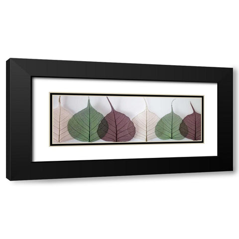 Leafy Address Black Modern Wood Framed Art Print with Double Matting by Frank, Assaf