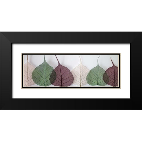 Leafy Address Black Modern Wood Framed Art Print with Double Matting by Frank, Assaf