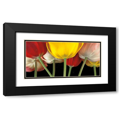 Sunshine Tulips Black Modern Wood Framed Art Print with Double Matting by Frank, Assaf
