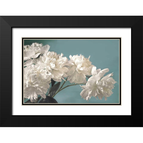 Snow White Black Modern Wood Framed Art Print with Double Matting by Frank, Assaf