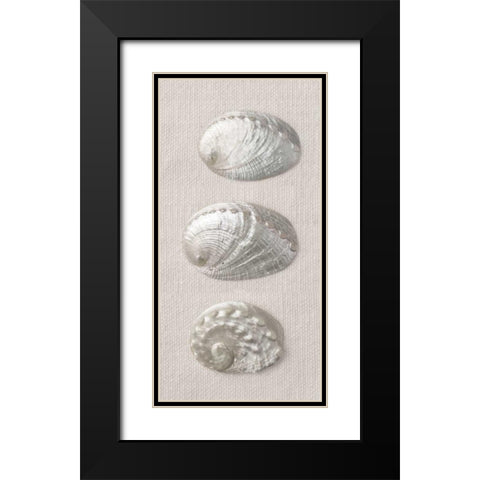 Opalescent I Black Modern Wood Framed Art Print with Double Matting by Frank, Assaf