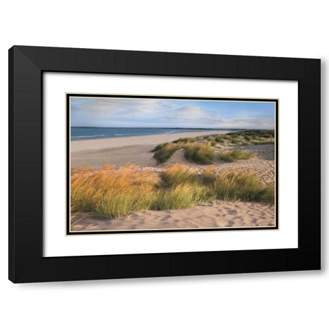 Sandy Shores Black Modern Wood Framed Art Print with Double Matting by Frank, Assaf