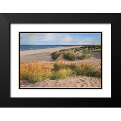 Sandy Shores Black Modern Wood Framed Art Print with Double Matting by Frank, Assaf