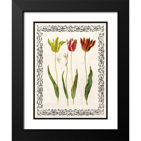 Spring Blooms I Black Modern Wood Framed Art Print with Double Matting by Berg, Sabine
