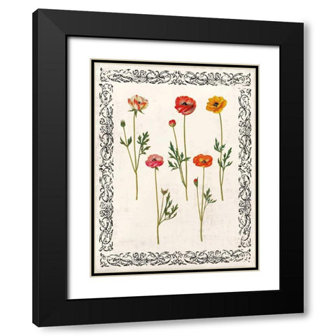 Spring Blooms II Black Modern Wood Framed Art Print with Double Matting by Berg, Sabine