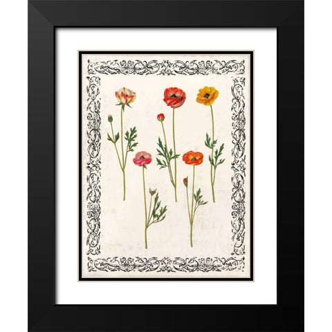 Spring Blooms II Black Modern Wood Framed Art Print with Double Matting by Berg, Sabine