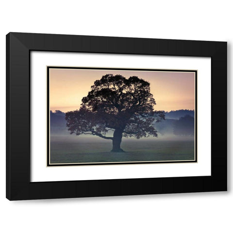 Evening Wisdom Black Modern Wood Framed Art Print with Double Matting by Frank, Assaf