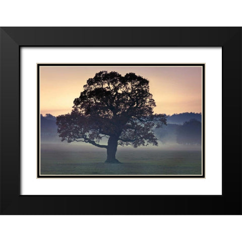 Evening Wisdom Black Modern Wood Framed Art Print with Double Matting by Frank, Assaf