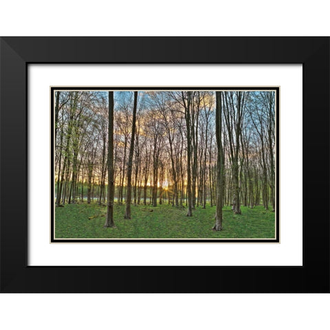 Secret Sunset Black Modern Wood Framed Art Print with Double Matting by Frank, Assaf