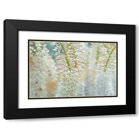 Humbled Black Modern Wood Framed Art Print with Double Matting by Frank, Assaf