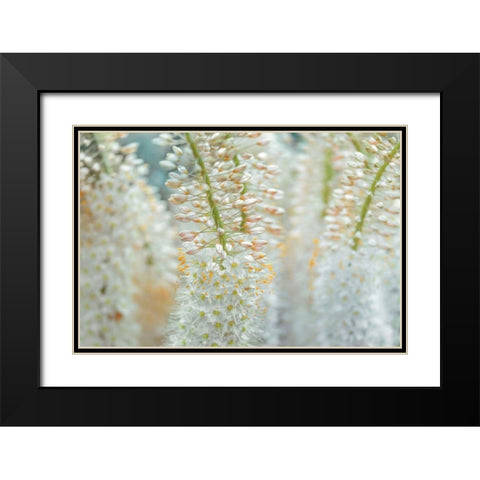 Humbled Black Modern Wood Framed Art Print with Double Matting by Frank, Assaf