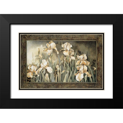 Field of Irises Black Modern Wood Framed Art Print with Double Matting by Thompson, Linda