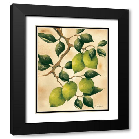 Italian Harvest - Limes Black Modern Wood Framed Art Print with Double Matting by Allison, Doris