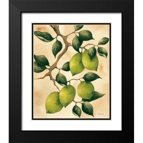 Italian Harvest - Limes Black Modern Wood Framed Art Print with Double Matting by Allison, Doris