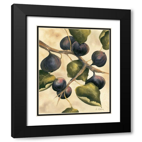 Italian Harvest - Figs Black Modern Wood Framed Art Print with Double Matting by Allison, Doris