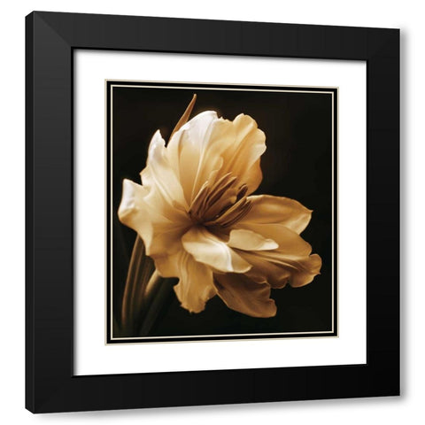 Timeless Grace I Black Modern Wood Framed Art Print with Double Matting by Britt, Charles