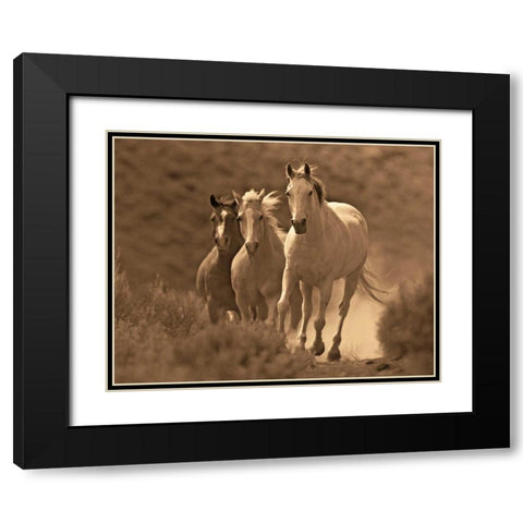 Rangers Black Modern Wood Framed Art Print with Double Matting by Caro, Wendy