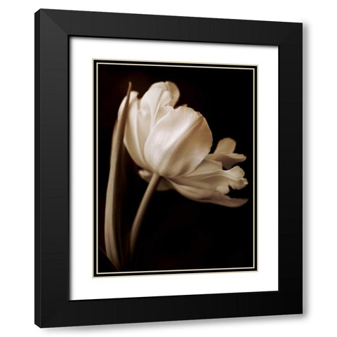 Champagne Tulip I Black Modern Wood Framed Art Print with Double Matting by Britt, Charles