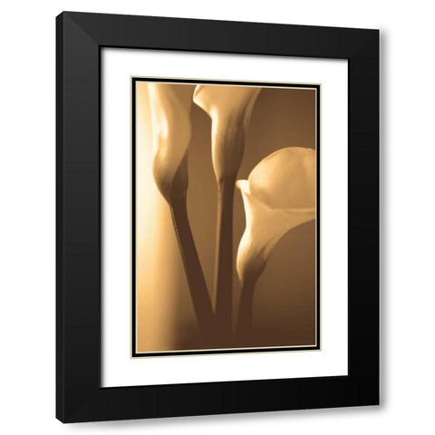 Enlightenment Black Modern Wood Framed Art Print with Double Matting by Ryan, Cinzia