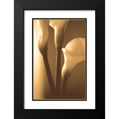 Enlightenment Black Modern Wood Framed Art Print with Double Matting by Ryan, Cinzia