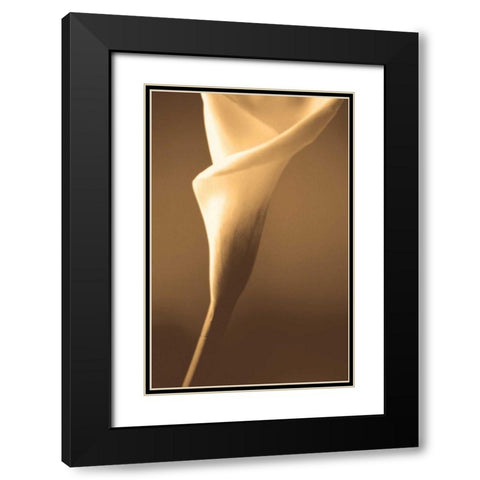 Enlightenment Black Modern Wood Framed Art Print with Double Matting by Ryan, Cinzia