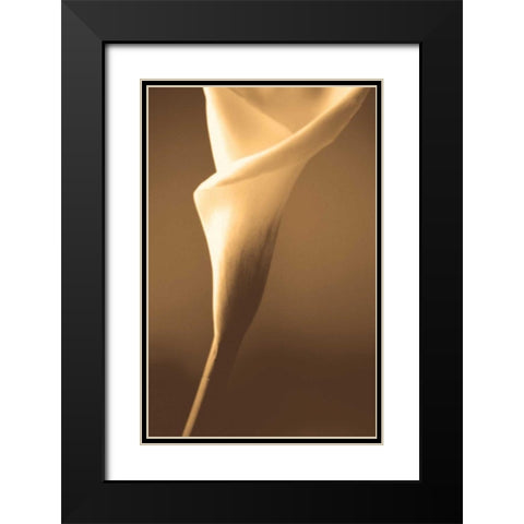 Enlightenment Black Modern Wood Framed Art Print with Double Matting by Ryan, Cinzia