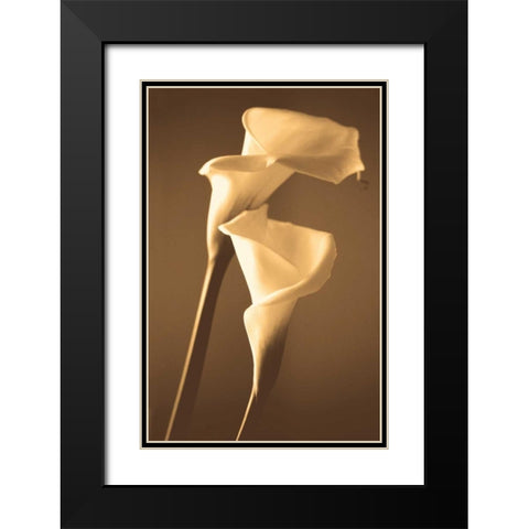 Enlightenment Black Modern Wood Framed Art Print with Double Matting by Ryan, Cinzia