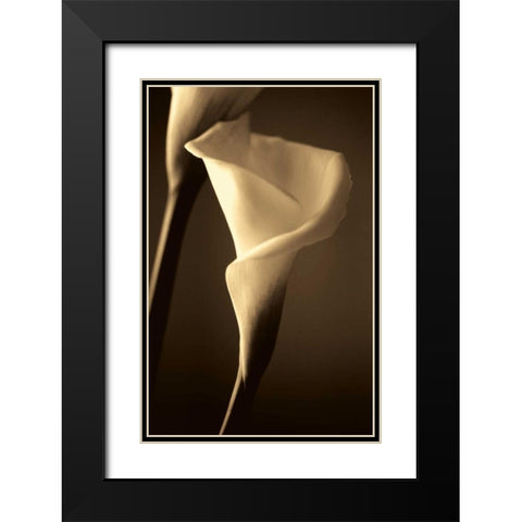 Divinity Black Modern Wood Framed Art Print with Double Matting by Ryan, Cinzia
