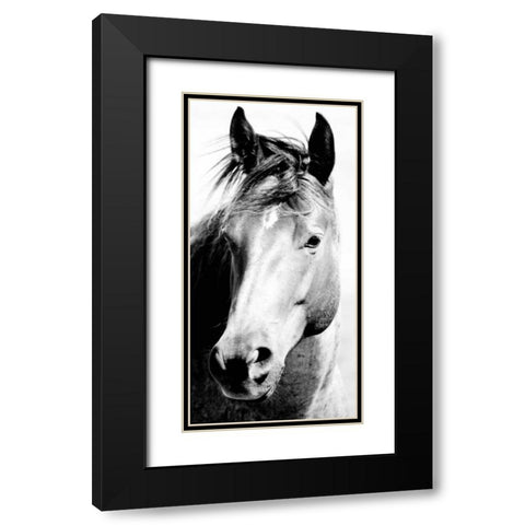 Wild Whispers I Black Modern Wood Framed Art Print with Double Matting by Corpeny, Peggy