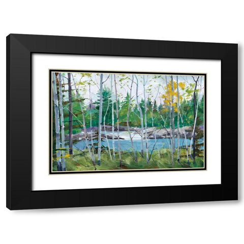 Oxtounge Rapids Black Modern Wood Framed Art Print with Double Matting by Forsythe, Graham