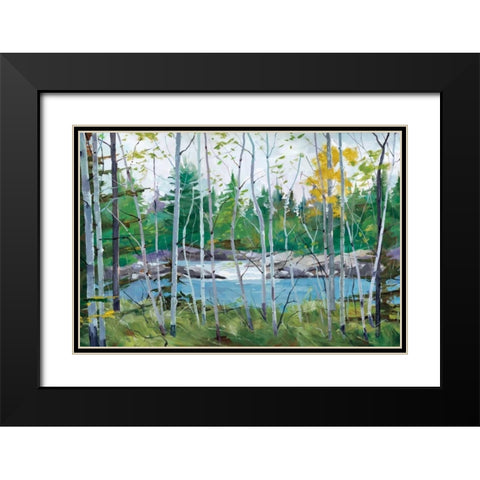 Oxtounge Rapids Black Modern Wood Framed Art Print with Double Matting by Forsythe, Graham