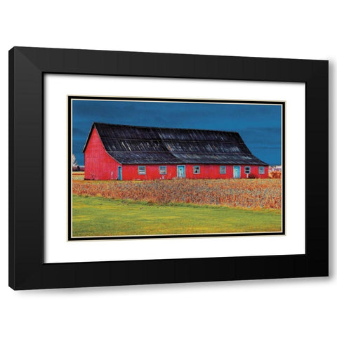 Big Red Black Modern Wood Framed Art Print with Double Matting by Lieberman , Burney