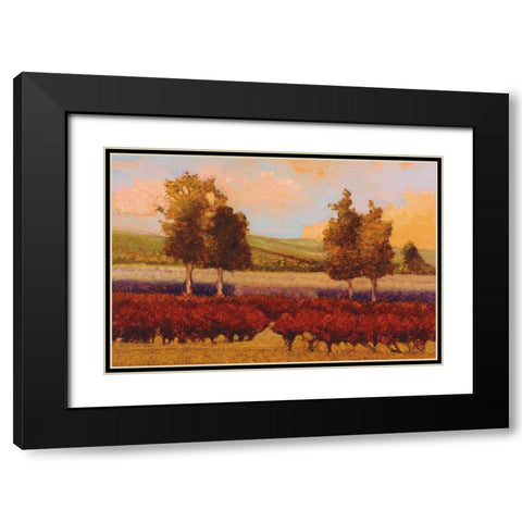 St. Pierre Black Modern Wood Framed Art Print with Double Matting by Lovelace, Kent