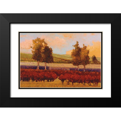 St. Pierre Black Modern Wood Framed Art Print with Double Matting by Lovelace, Kent