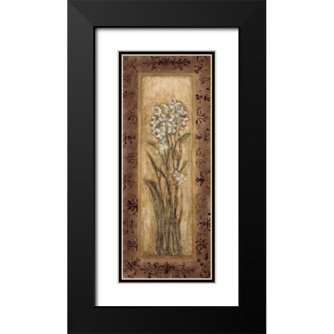 Paperwhites II Black Modern Wood Framed Art Print with Double Matting by Mindeli