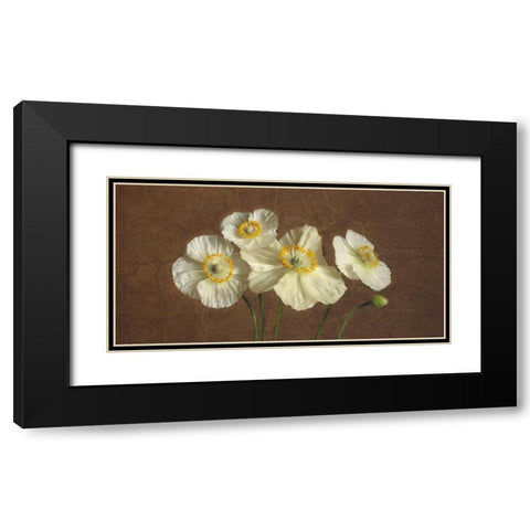 Precious Poppies Black Modern Wood Framed Art Print with Double Matting by Pahl, Janel