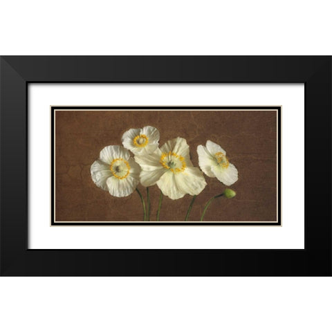 Precious Poppies Black Modern Wood Framed Art Print with Double Matting by Pahl, Janel