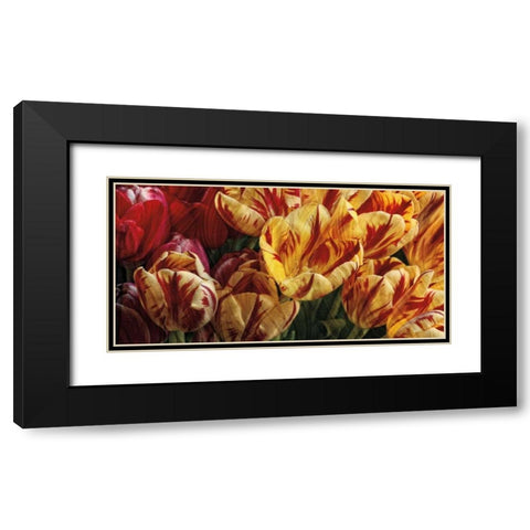 Floral Tapestry Black Modern Wood Framed Art Print with Double Matting by Pahl, Janel