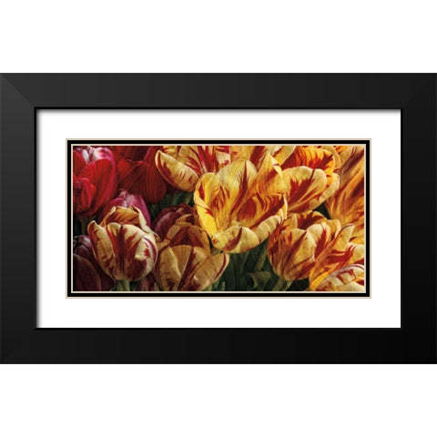 Floral Tapestry Black Modern Wood Framed Art Print with Double Matting by Pahl, Janel