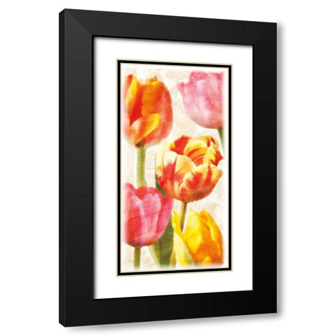 Glowing Tulips II Black Modern Wood Framed Art Print with Double Matting by Pahl, Janel
