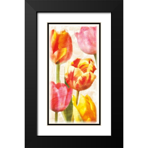 Glowing Tulips II Black Modern Wood Framed Art Print with Double Matting by Pahl, Janel