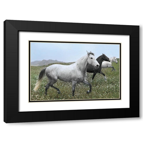 Perfect Pasture Black Modern Wood Framed Art Print with Double Matting by Llovet, Jorge