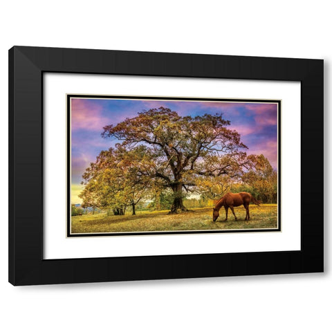 Under The Old Oak Tree Black Modern Wood Framed Art Print with Double Matting by Celebrate Life Gallery