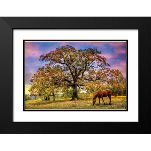 Under The Old Oak Tree Black Modern Wood Framed Art Print with Double Matting by Celebrate Life Gallery